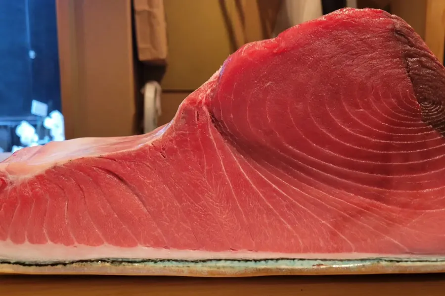 omakase01