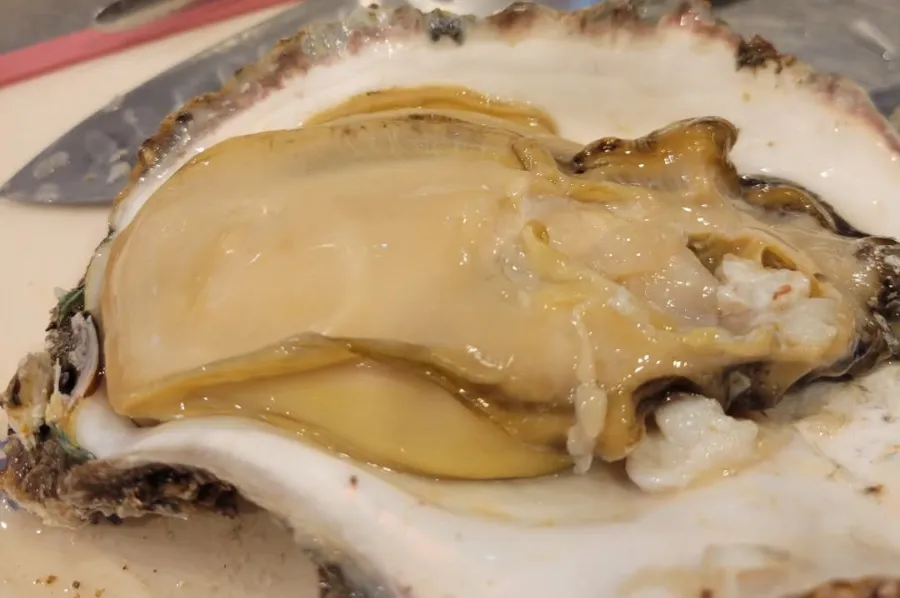 omakase06